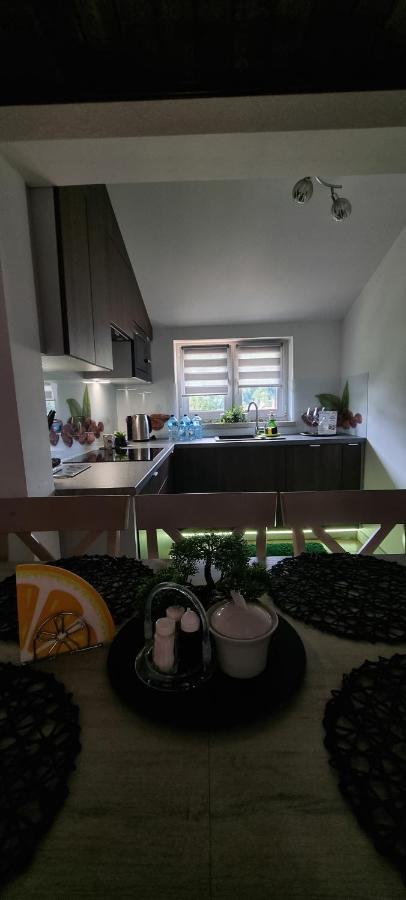 Apartament Elbrus Czyrna Szczyrk Wypozyczalnia Rowerow E-Bike Czyrna Szkola Narciarska & Wypozyczalnia Ski Serwis 외부 사진